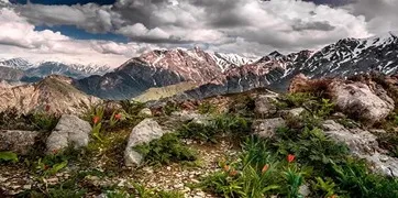 Chimgan and Charvak Tour